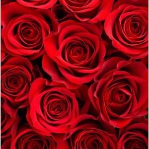 Meet your Posher, Karen